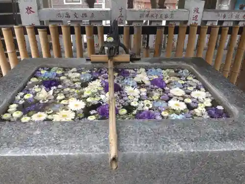 高円寺氷川神社の手水