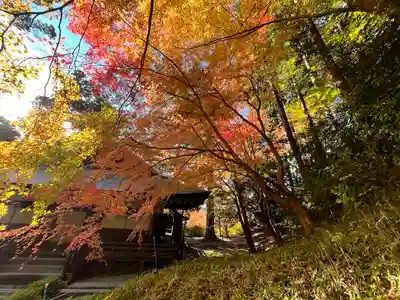 弘川寺(大阪府)