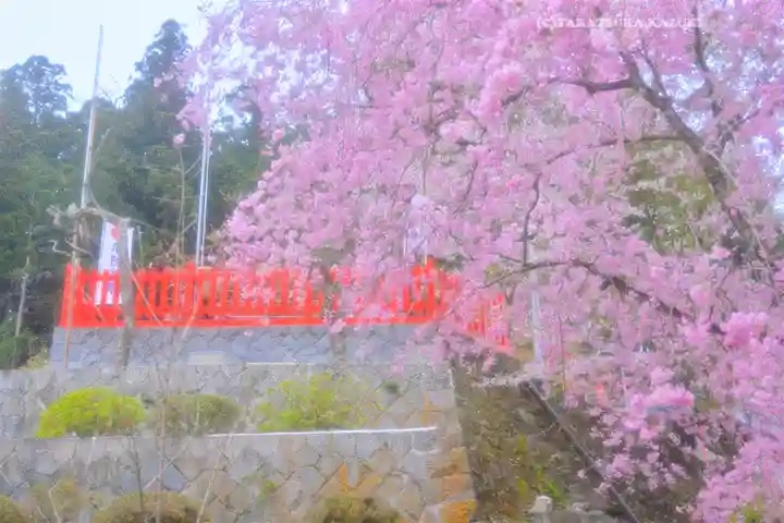 金櫻神社(山梨県)