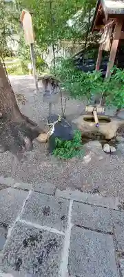 堀越神社(大阪府)