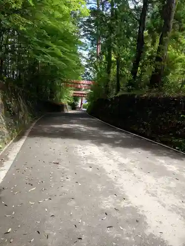 大崎八幡宮の建物その他