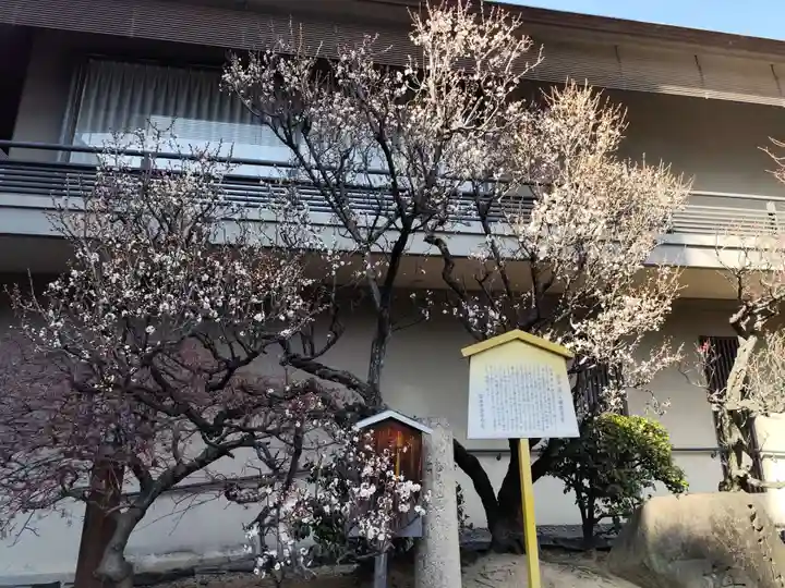 生田神社(兵庫県)