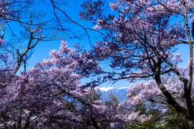 新城藤原神社(長野県)