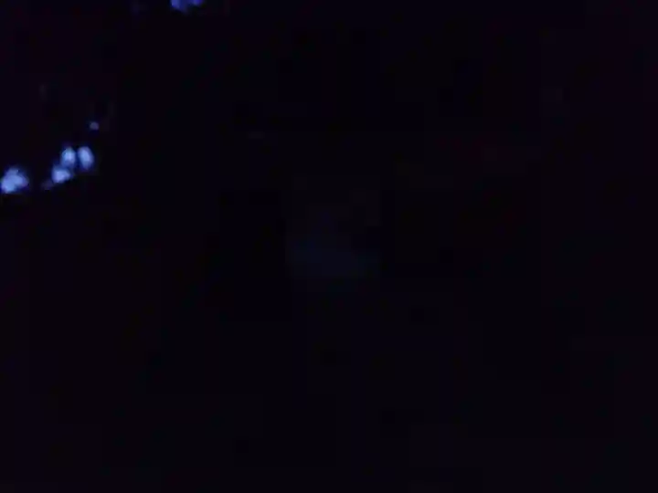 神倉神社(熊野速玉大社摂社)(和歌山県)