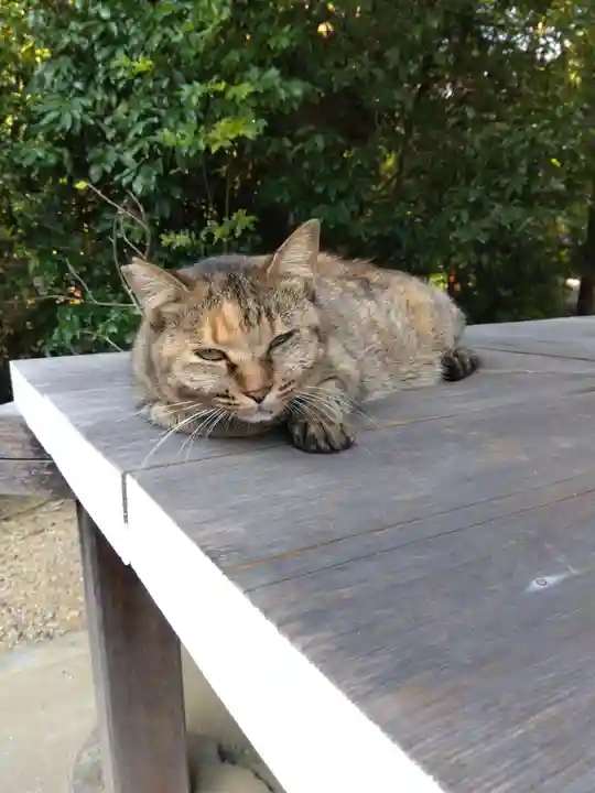 久米寺(奈良県)