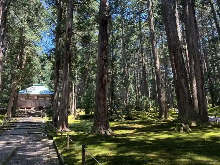 平泉寺白山神社(福井県)