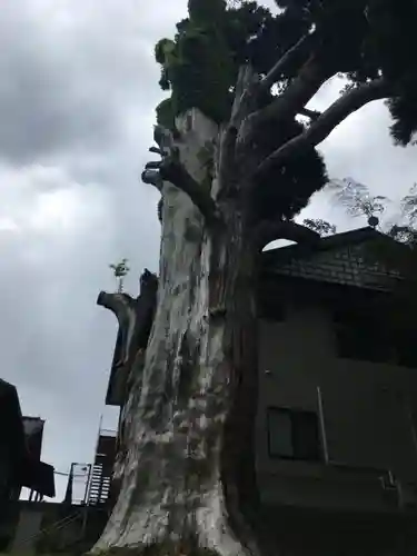 双林寺のその他建物