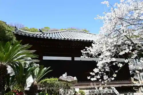 大宝寺(愛媛県)