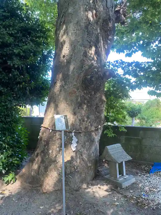三島八幡神社(福島県)