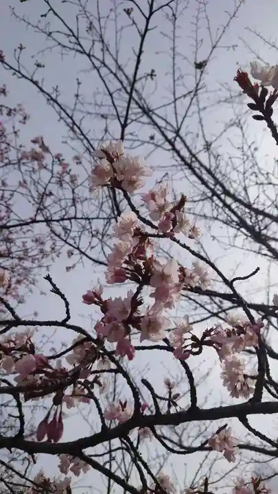 相馬神社(北海道)
