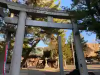 雄郡神社の鳥居