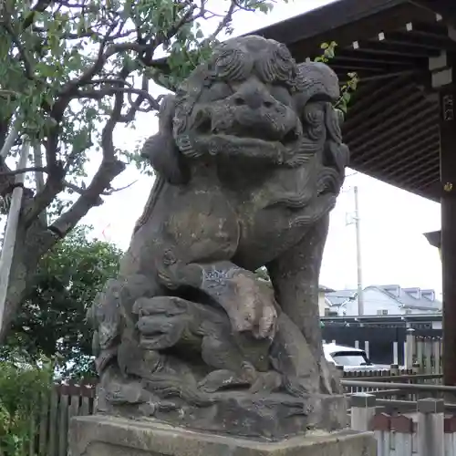 鵜ノ木八幡神社の狛犬