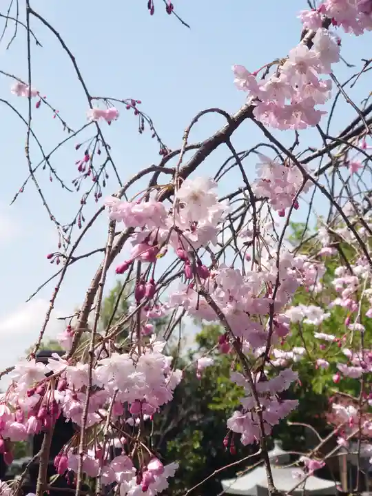 妙福寺(神奈川県)