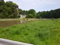 神社(名称不明)の景色