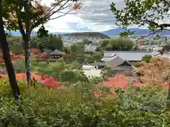 慈照寺（慈照禅寺・銀閣寺）(京都府)