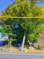 津島神社・仏堂(前原)の自然