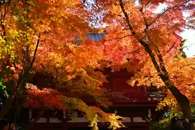 本土寺(千葉県)