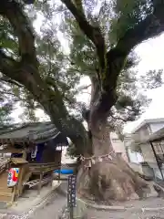 粉河寺(和歌山県)