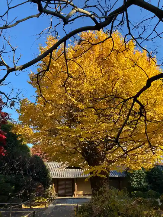 高円寺(東京都)