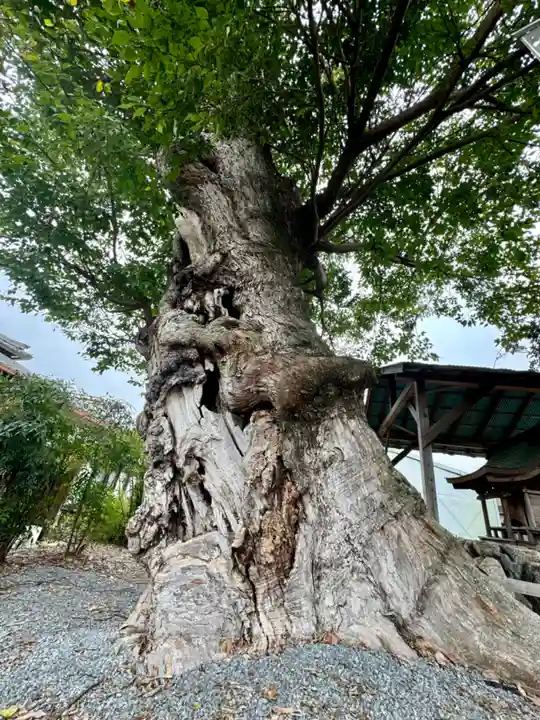 蔵林寺(京都府)