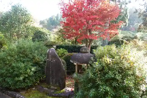 三室戸寺(京都府)