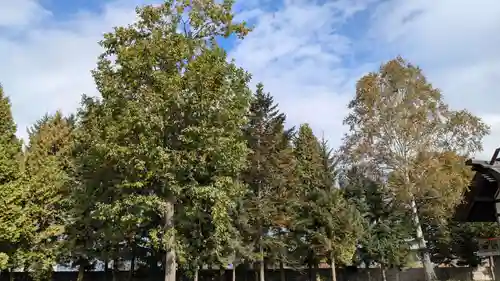 風連神社の自然