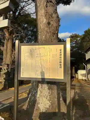 安房神社(千葉県)