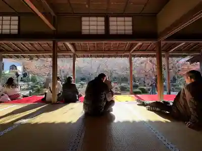 圓光寺(京都府)