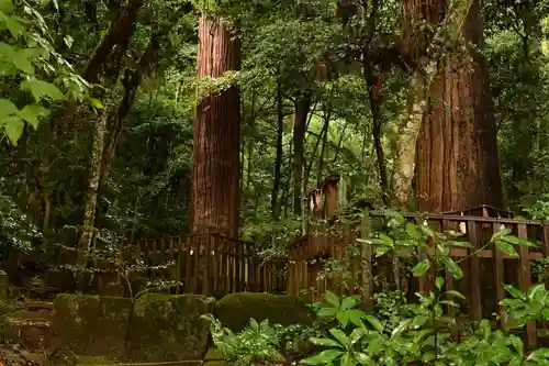八重垣神社(島根県)
