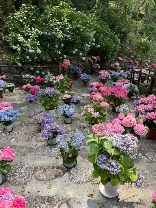 長谷寺(奈良県)