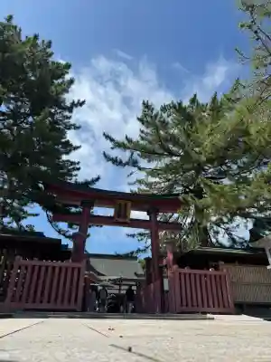 気比神社の{uncategorized: "未分類", other: "その他", undefined: "問題あり", building: "その他建物", grave: "お墓", sacred_gate: "鳥居", guardian: "狛犬", statue: "像", buddha: "仏像", history: "歴史", nature: "自然", garden: "庭園", animal: "動物", pagoda: "塔", temizu: "手水舎", mountain_gate: "山門・神門", sanctuary: "本殿・本堂", subordinate: "末社・摂社", art: "芸術", scenery: "景色", jizo: "地蔵", ema: "絵馬", goshuin: "御朱印", omikuji: "おみくじ", items: "授与品その他", amulet: "お守り", goshuincho: "御朱印帳", eats: "食事", festival: "お祭り", votive_dance: "神楽", shichigosan: "七五三参", wedding: "結婚式", experience: "体験その他", initially: "初詣", around: "周辺", anti_infection: "感染症対策"}