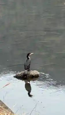 和氣神社（和気神社）(岡山県)