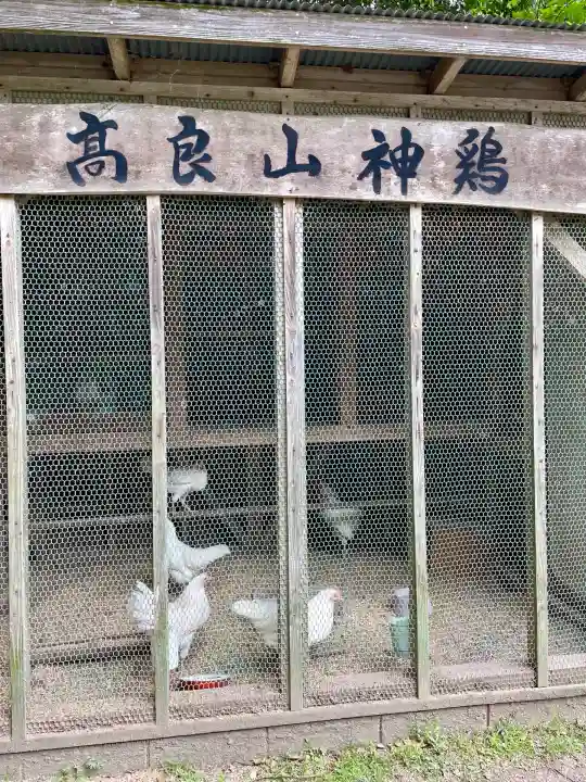 高良大社(福岡県)