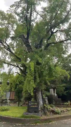 江浦八幡神社(福岡県)