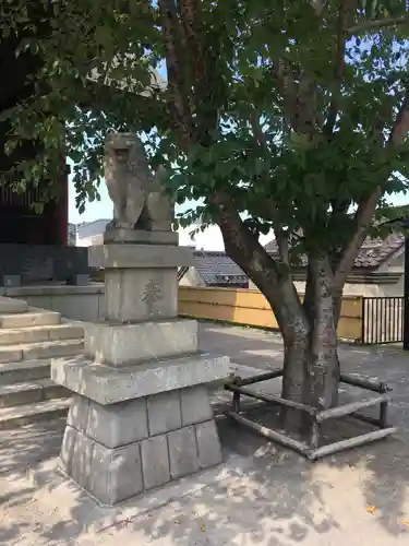 龍宮神社の狛犬