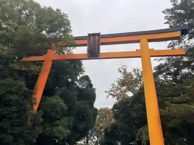 川越氷川神社(埼玉県)