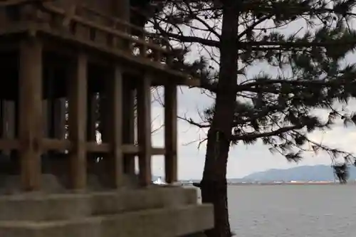 亀島神社の本殿