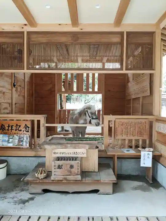平塚八幡宮の動物