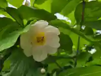 沙沙貴神社(滋賀県)