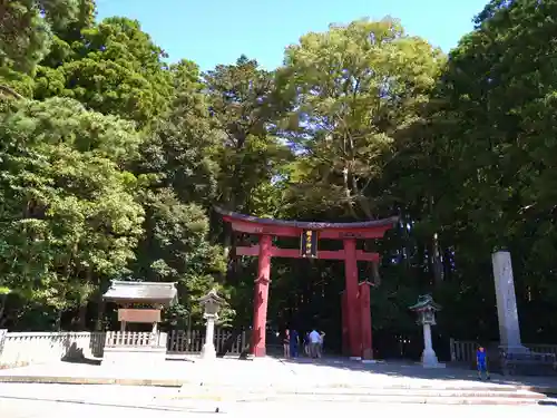 彌彦神社の鳥居