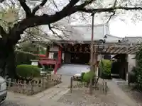 円通寺の本殿・本堂