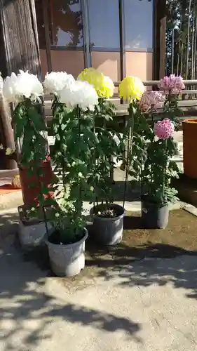 鹿嶋三嶋神社の自然