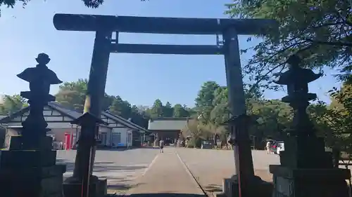 常陸第三宮　吉田神社の鳥居