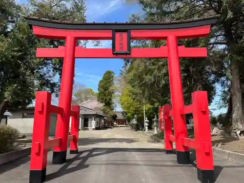 島津稲荷神社の鳥居