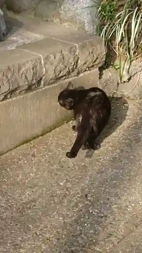 弥生神社の動物
