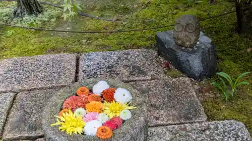 勝林寺(京都府)