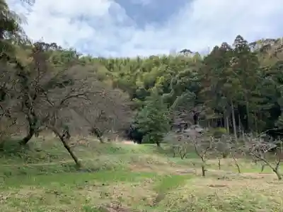 熊野神社(千葉県)