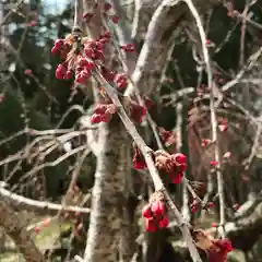 豊景神社の自然