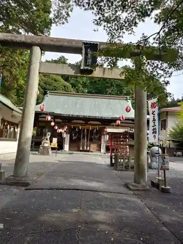 龍尾神社の鳥居