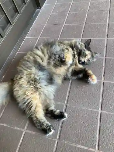 滝川神社(北海道)